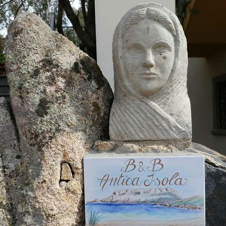 Antica Isola Bed & Breakfast ออลเบีย ภายนอก รูปภาพ