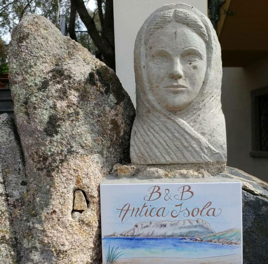 Antica Isola Bed & Breakfast ออลเบีย ภายนอก รูปภาพ