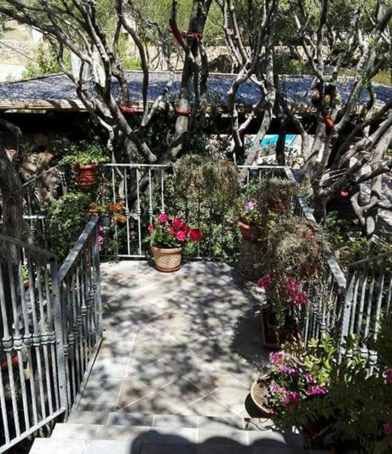Antica Isola Bed & Breakfast ออลเบีย ภายนอก รูปภาพ